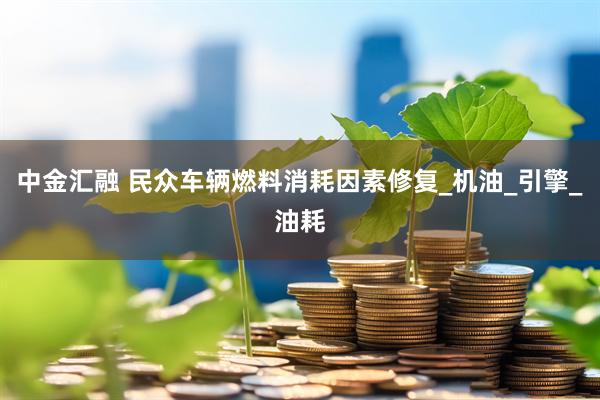 中金汇融 民众车辆燃料消耗因素修复_机油_引擎_油耗