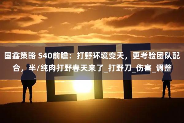 国鑫策略 S40前瞻：打野环境变天，更考验团队配合，半/纯肉打野春天来了_打野刀_伤害_调整
